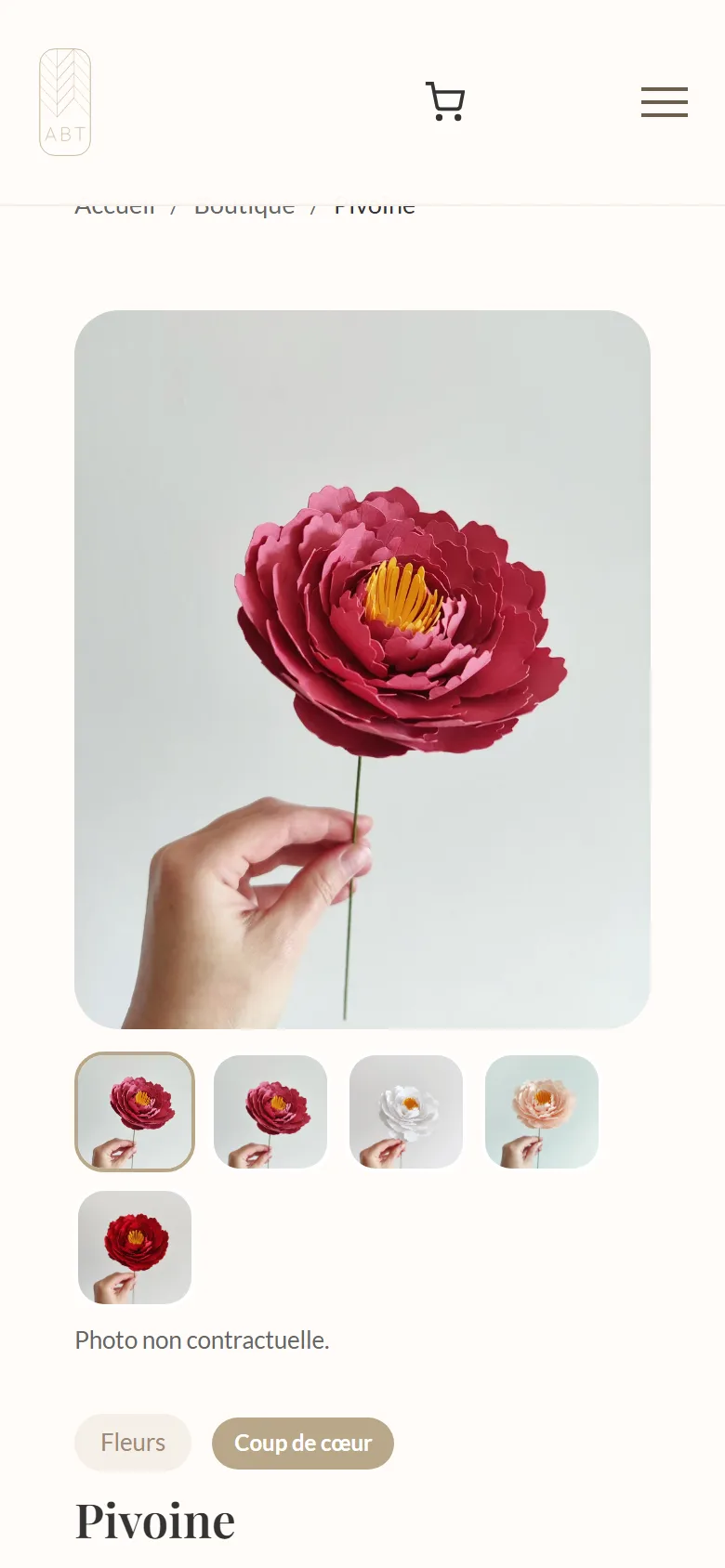 Oriane ABT - Boutique en ligne sur mesure - 2RO Graphic Design